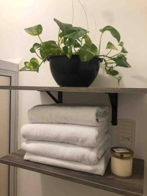 Comfortable And Private House 2 Bedrooms Wifi Parking Free Monterrey Exterior foto